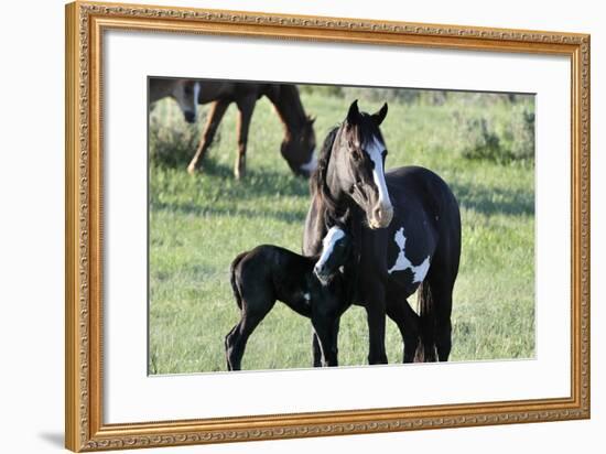 Wildhorses-Gordon Semmens-Framed Photographic Print