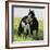 Wildhorses-Gordon Semmens-Framed Photographic Print