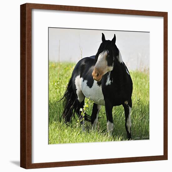 Wildhorses-Gordon Semmens-Framed Photographic Print