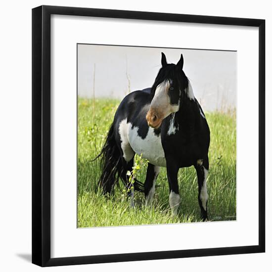Wildhorses-Gordon Semmens-Framed Photographic Print