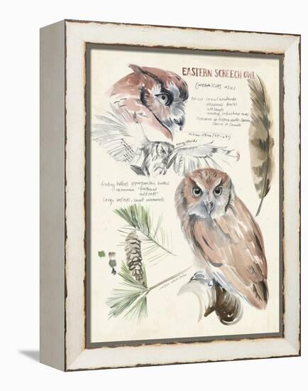 Wildlife Journals I-Jennifer Parker-Framed Stretched Canvas