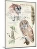 Wildlife Journals I-Jennifer Parker-Mounted Art Print
