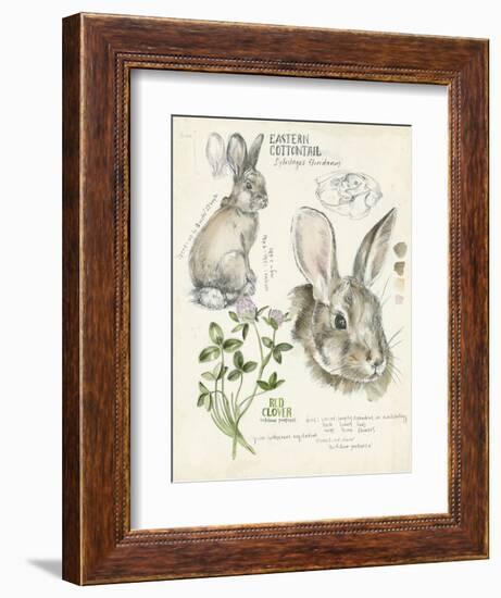 Wildlife Journals II-Jennifer Parker-Framed Premium Giclee Print