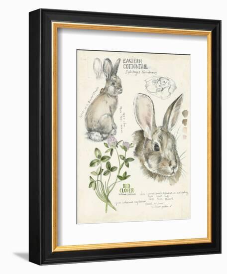 Wildlife Journals II-Jennifer Parker-Framed Premium Giclee Print