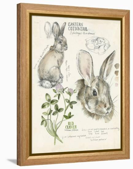 Wildlife Journals II-Jennifer Parker-Framed Stretched Canvas
