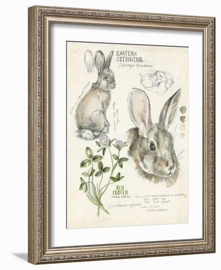 Wildlife Journals II-Jennifer Parker-Framed Art Print