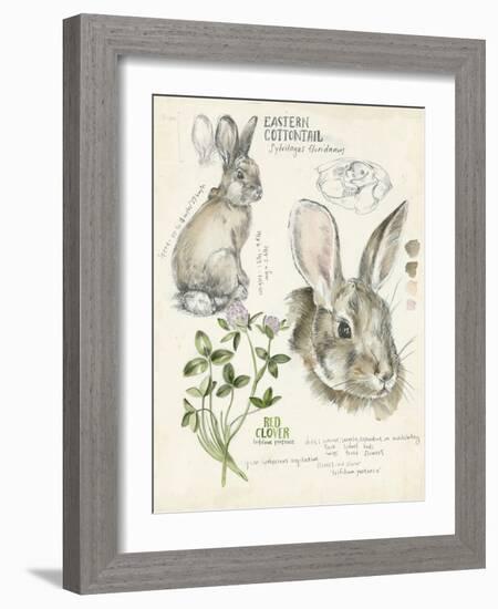 Wildlife Journals II-Jennifer Parker-Framed Art Print