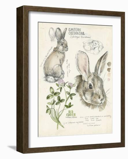 Wildlife Journals II-Jennifer Parker-Framed Art Print