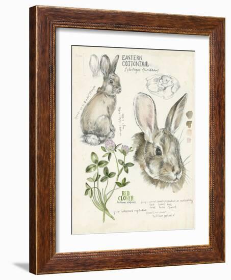 Wildlife Journals II-Jennifer Parker-Framed Art Print