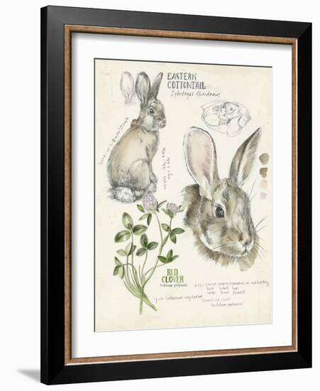 Wildlife Journals II-Jennifer Parker-Framed Art Print