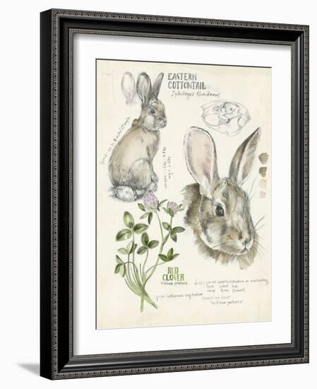 Wildlife Journals II-Jennifer Parker-Framed Art Print