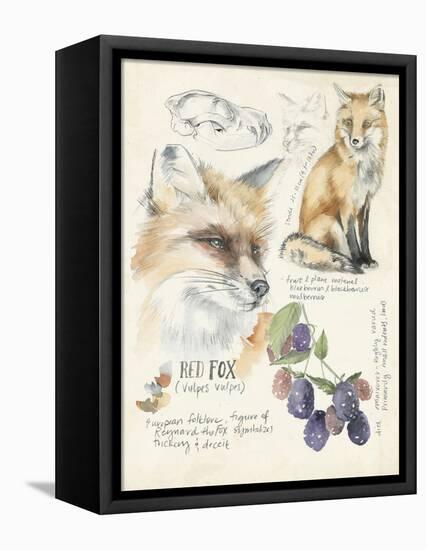 Wildlife Journals III-Jennifer Parker-Framed Stretched Canvas