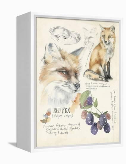 Wildlife Journals III-Jennifer Parker-Framed Stretched Canvas