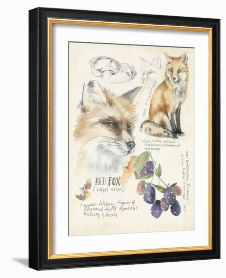 Wildlife Journals III-Jennifer Parker-Framed Art Print
