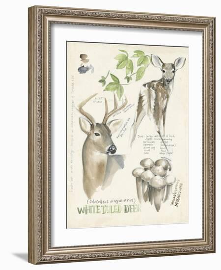 Wildlife Journals IV-Jennifer Parker-Framed Art Print