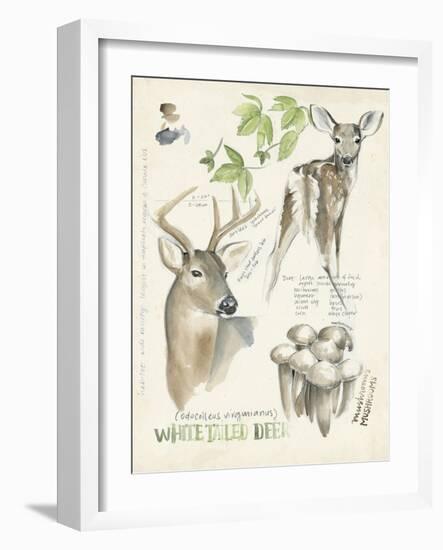 Wildlife Journals IV-Jennifer Parker-Framed Art Print