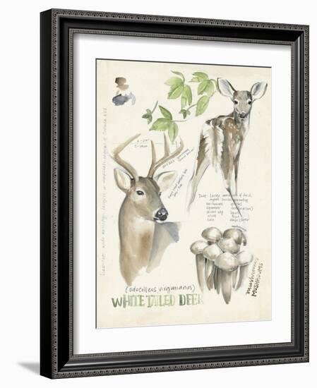 Wildlife Journals IV-Jennifer Parker-Framed Art Print