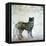 Wildlife on Site II-Nicholas Biscardi-Framed Stretched Canvas