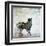 Wildlife on Site II-Nicholas Biscardi-Framed Art Print