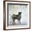 Wildlife on Site II-Nicholas Biscardi-Framed Art Print