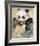 Wildlife Panda-Joadoor-Framed Art Print