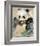 Wildlife Panda-Joadoor-Framed Art Print