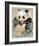 Wildlife Panda-Joadoor-Framed Art Print