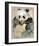 Wildlife Panda-Joadoor-Framed Art Print