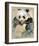 Wildlife Panda-Joadoor-Framed Art Print