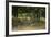 Wildlife Rich Hay Meadow, Early Morning Light in Summer, Lampeter, Wales, UK. June-Ross Hoddinott-Framed Photographic Print