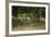 Wildlife Rich Hay Meadow, Early Morning Light in Summer, Lampeter, Wales, UK. June-Ross Hoddinott-Framed Photographic Print