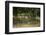 Wildlife Rich Hay Meadow, Early Morning Light in Summer, Lampeter, Wales, UK. June-Ross Hoddinott-Framed Photographic Print