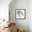 Wildlife Snapshot: Fox-Naomi McCavitt-Framed Premium Giclee Print displayed on a wall