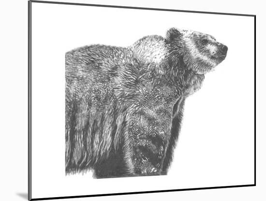 Wildlife Snapshot: Grizzly-Naomi McCavitt-Mounted Art Print