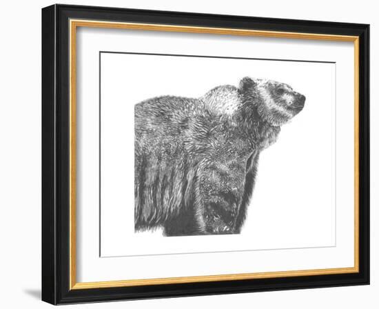 Wildlife Snapshot: Grizzly-Naomi McCavitt-Framed Art Print