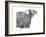 Wildlife Snapshot: Grizzly-Naomi McCavitt-Framed Art Print