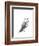 Wildlife Snapshot: Owl-Naomi McCavitt-Framed Art Print