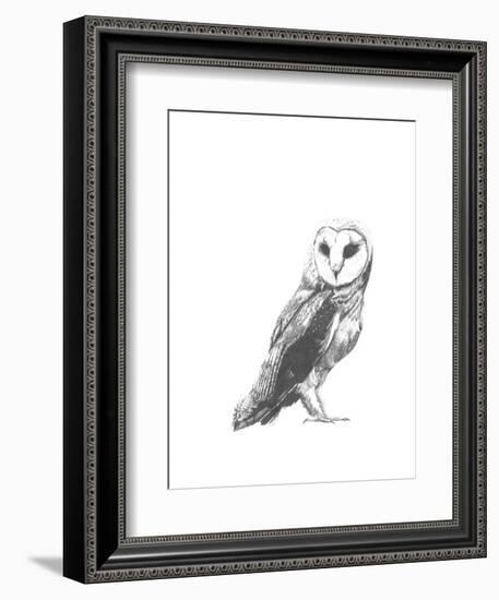 Wildlife Snapshot: Owl-Naomi McCavitt-Framed Art Print