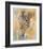 Wildlife Zebra-Joadoor-Framed Art Print