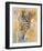 Wildlife Zebra-Joadoor-Framed Art Print