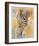 Wildlife Zebra-Joadoor-Framed Art Print