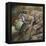 Wildlife-Wildlife Wildlife-Framed Premier Image Canvas