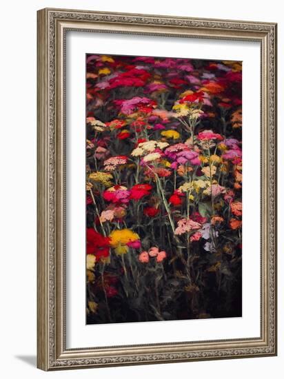 Wildly Colourful, 2018,-Helen White-Framed Giclee Print