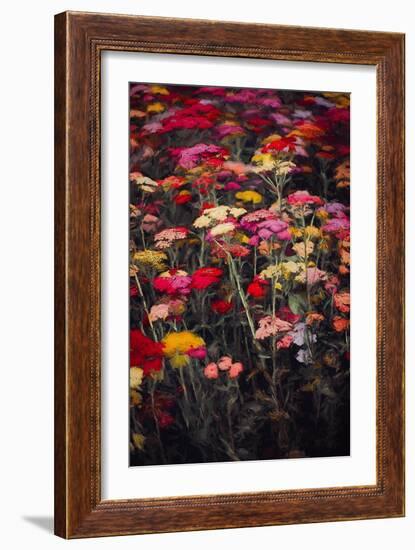 Wildly Colourful, 2018,-Helen White-Framed Giclee Print