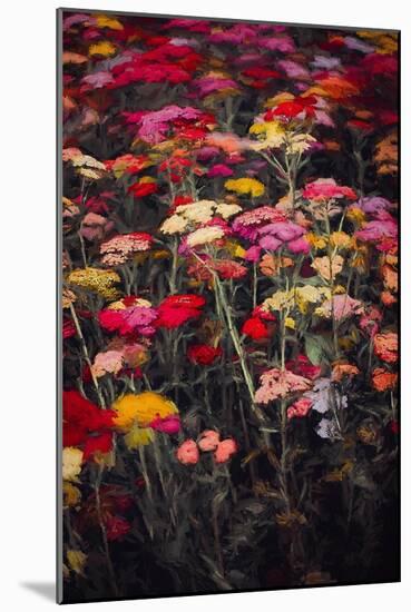 Wildly Colourful, 2018,-Helen White-Mounted Giclee Print