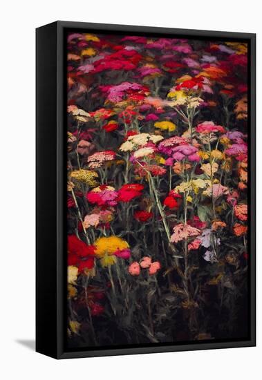 Wildly Colourful, 2018,-Helen White-Framed Premier Image Canvas