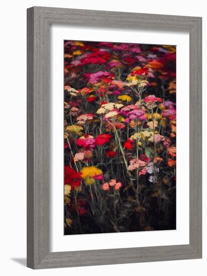 Wildly Colourful-Helen White-Framed Giclee Print