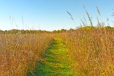 Fall Colors on A Midwest River-wildnerdpix-Photographic Print