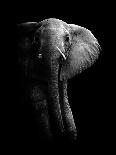 Elephant!-WildPhotoArt-Premier Image Canvas