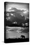 He Walks Under An African Sky-null-Mounted Giclee Print